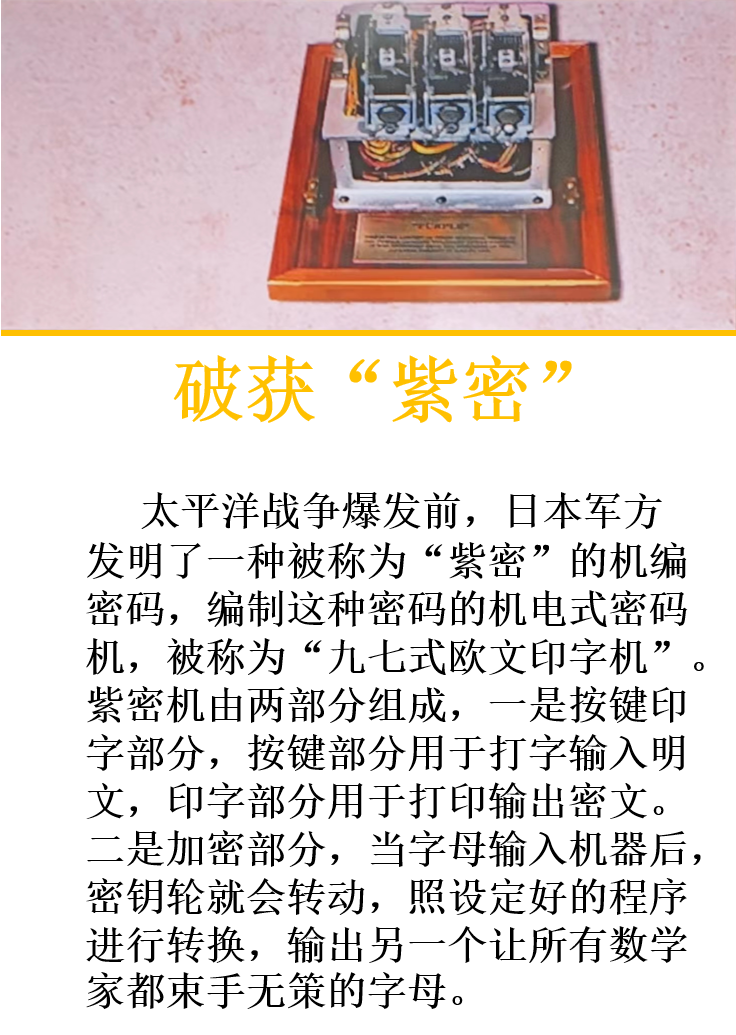 破获“紫密沈文娟.png